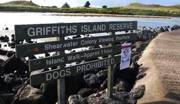 Griffiths Island